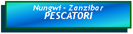 Casella di testo: Nungwi - ZanzibarPESCATORI