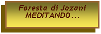 Casella di testo: Foresta di JozaniMEDITANDO...